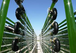 Cycle of conferences about microalgae technology for water treatment and recovery of nutrients.